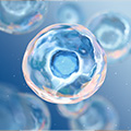 micelles 